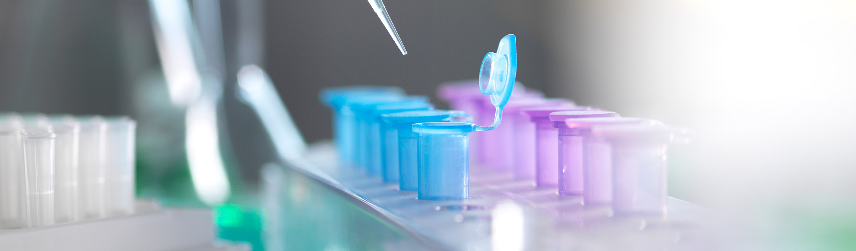 Pipette dispensing a blue droplet into a rack of purple and blue microcentrifuge tubes for diagnostic reagent development