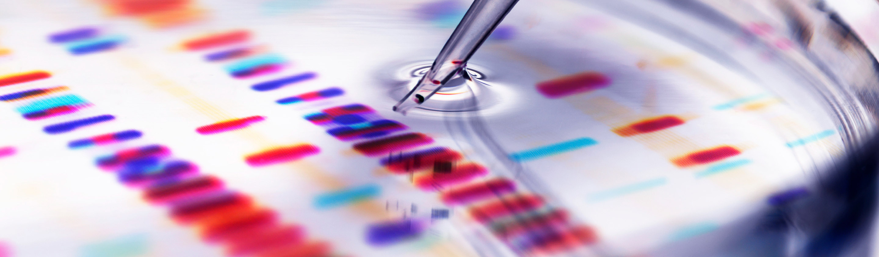 Pipette tip over a DNA sequencing gel with coloured bands for in vitro pharmacology