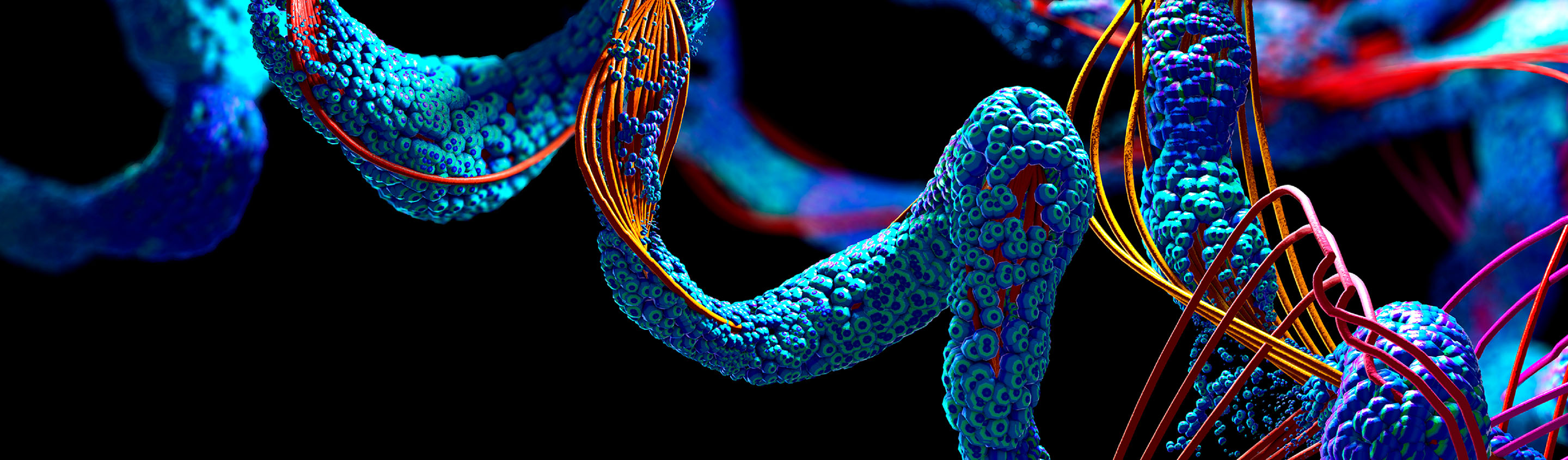 3D render of DNA and protein strands in blue, red and yellow on a black background