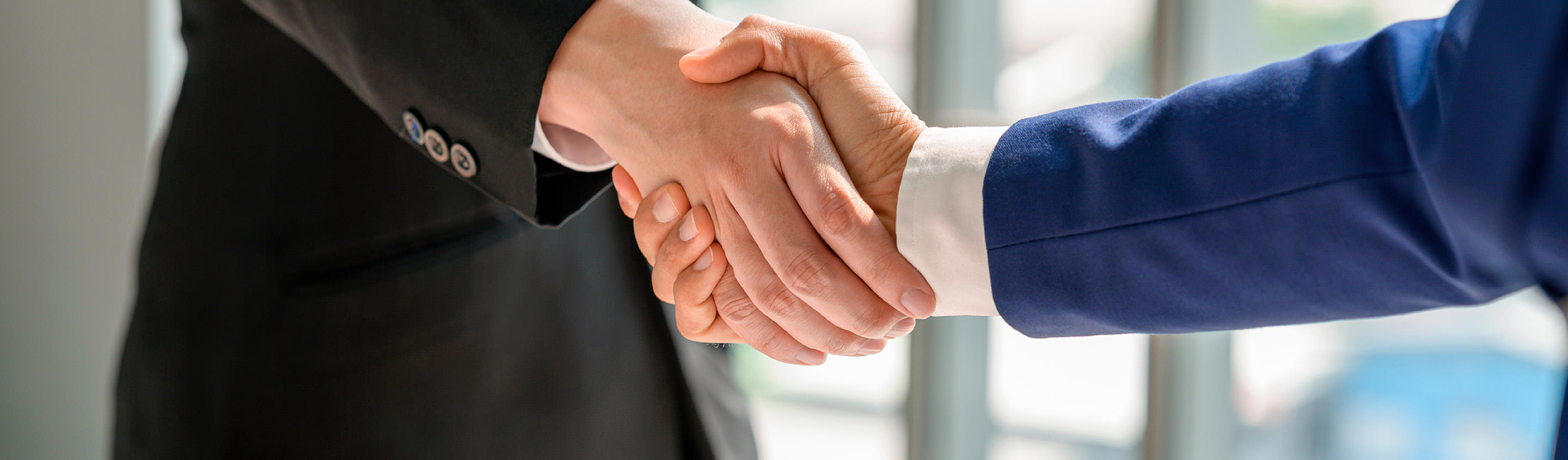 Two businesspeople in suits shaking hands, representing corporate governance