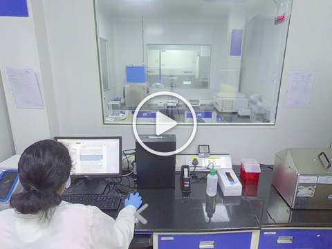 Virtual tour: Aragen scientist at a computer in the in vitro toxicology laboratory (video)