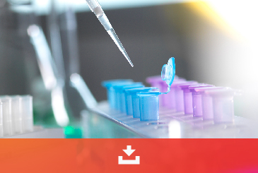 Pipette dispensing into a rack of coloured microtubes, cell line development resource download