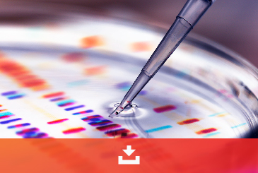 Pipette tip over a DNA sequencing gel with coloured bands, cell line development insights download