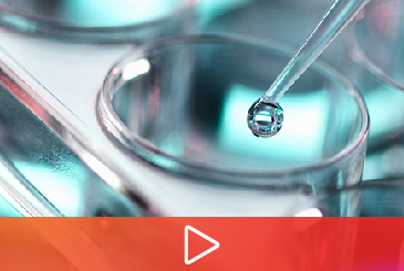 Pipette dispensing a droplet into a petri dish, integrated cell line development solutions video thumbnail