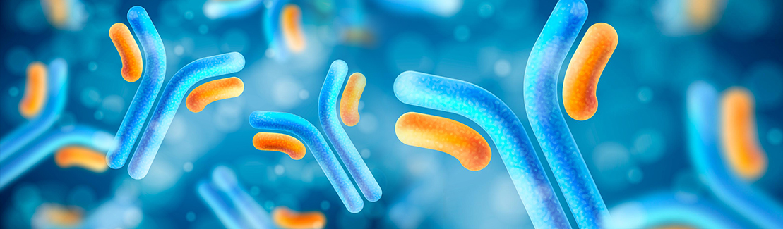 3D render of blue and orange antibody molecules on a blue background