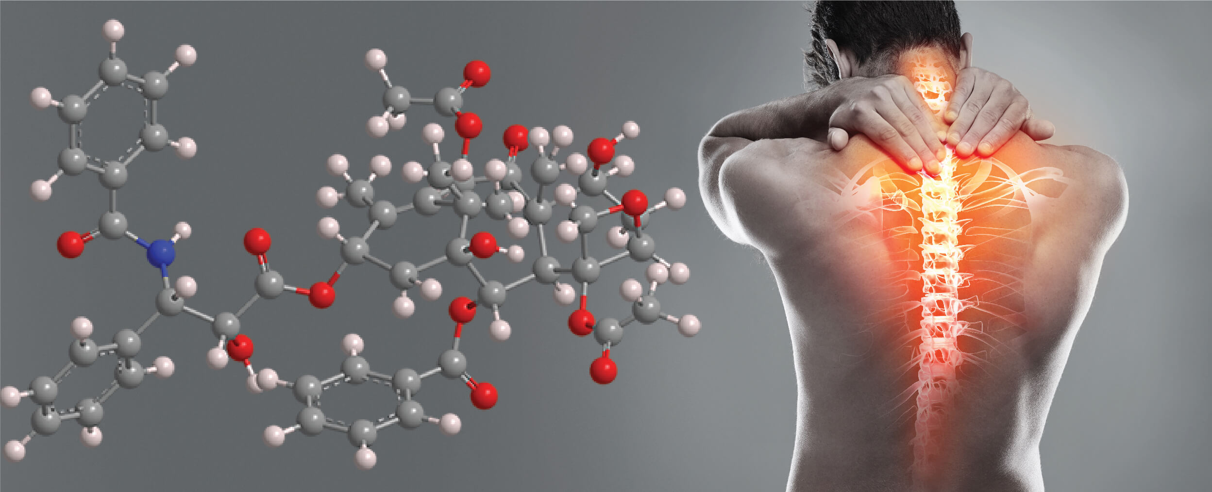 3D molecular structure of paclitaxel beside a figure holding their neck with highlighted spine, representing peripheral neuropathic pain