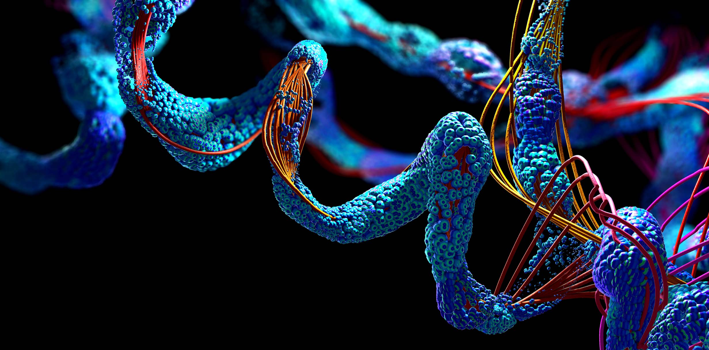 3D render of DNA and protein strands in blue, red and yellow on a black background