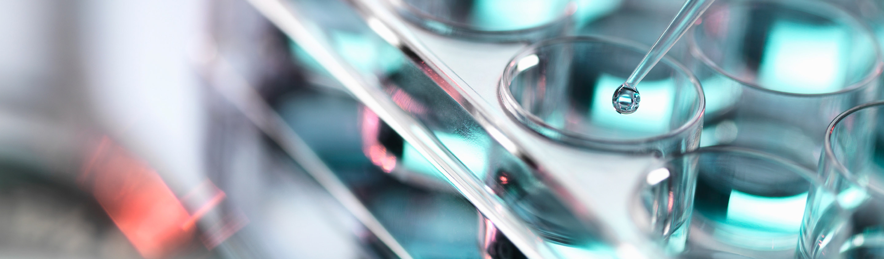 Pipette dispensing a droplet into a petri dish in a cell line development laboratory