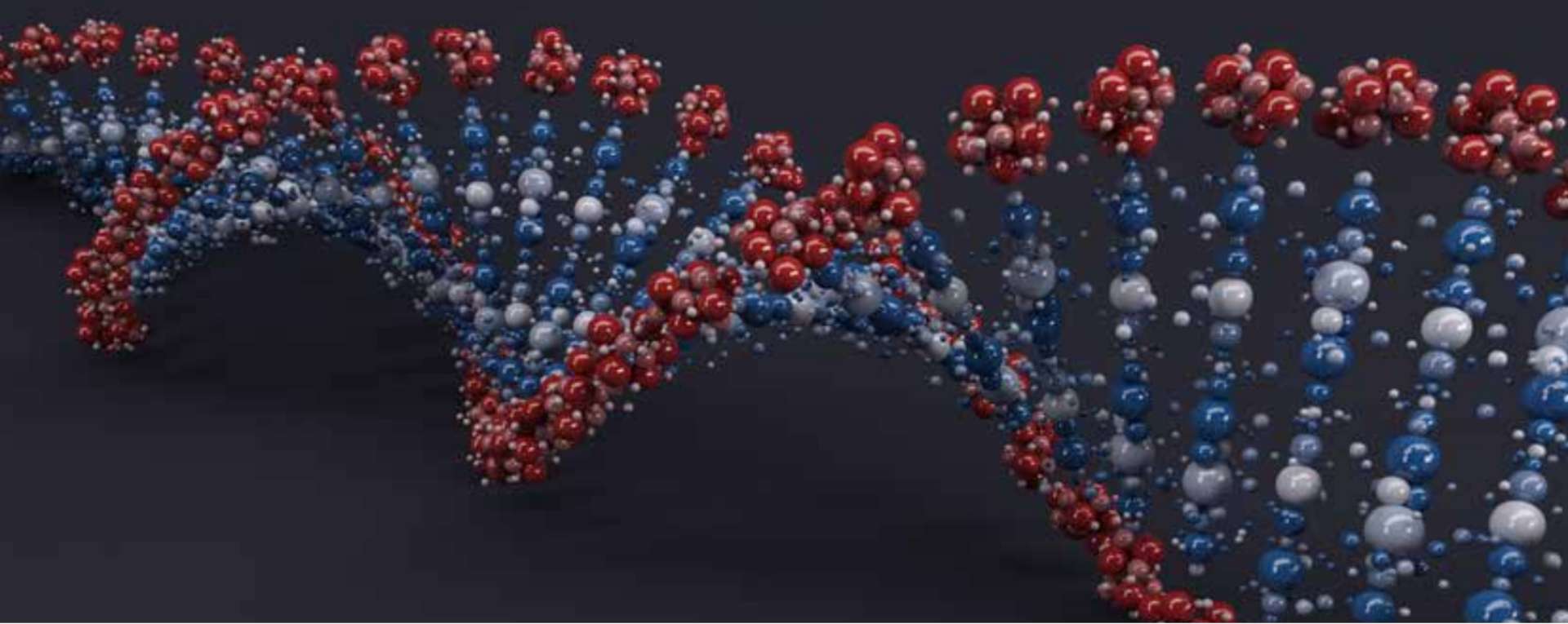 3D render of a DNA double helix in red, blue and white