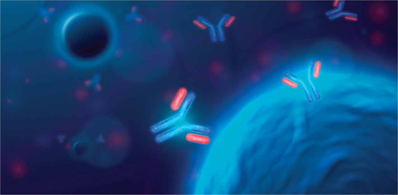 Illustration of antibodies binding to a blue cell surface, representing protein science solutions