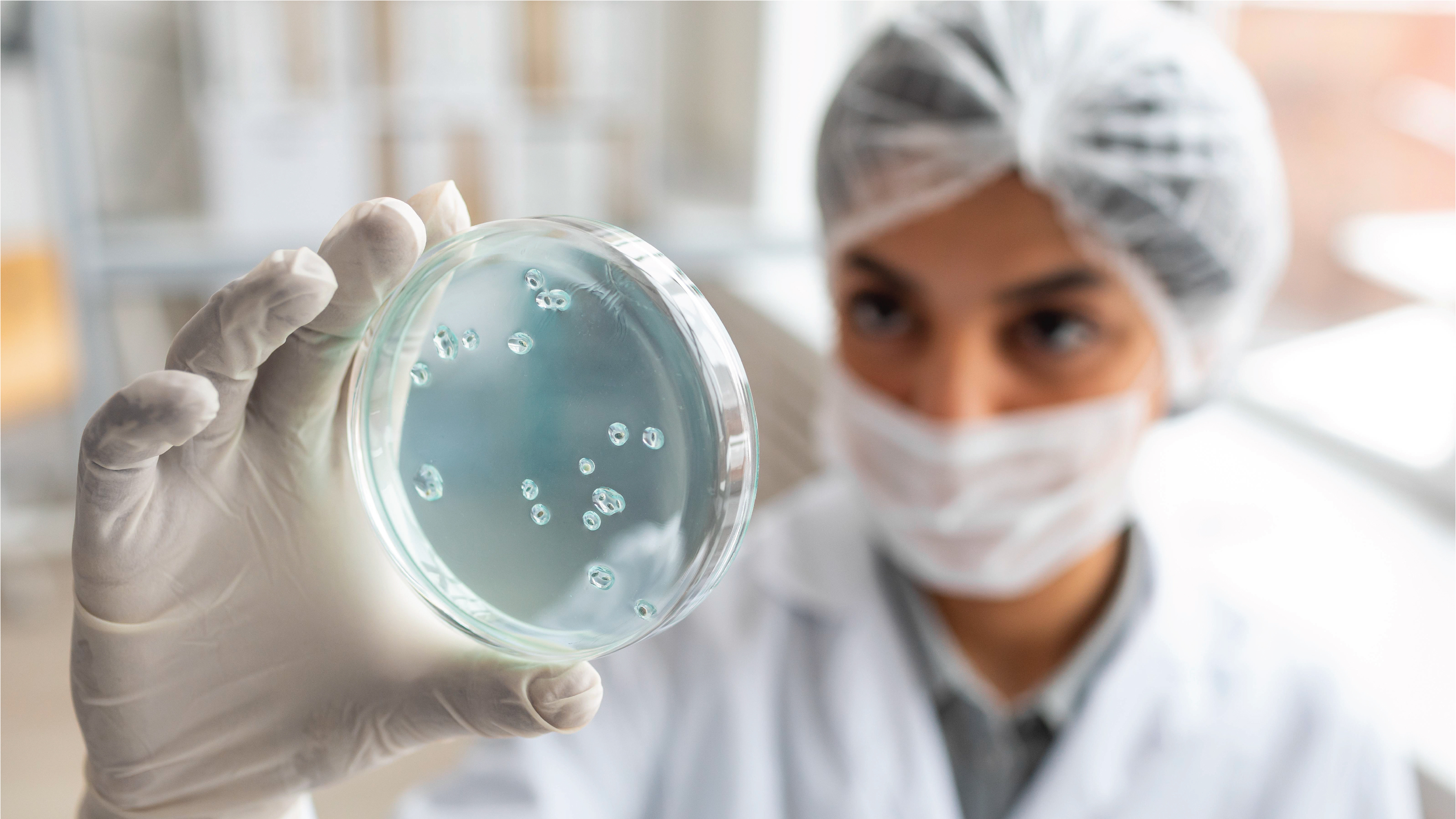 Scientist in cap and mask holding up a petri dish with bacterial colonies