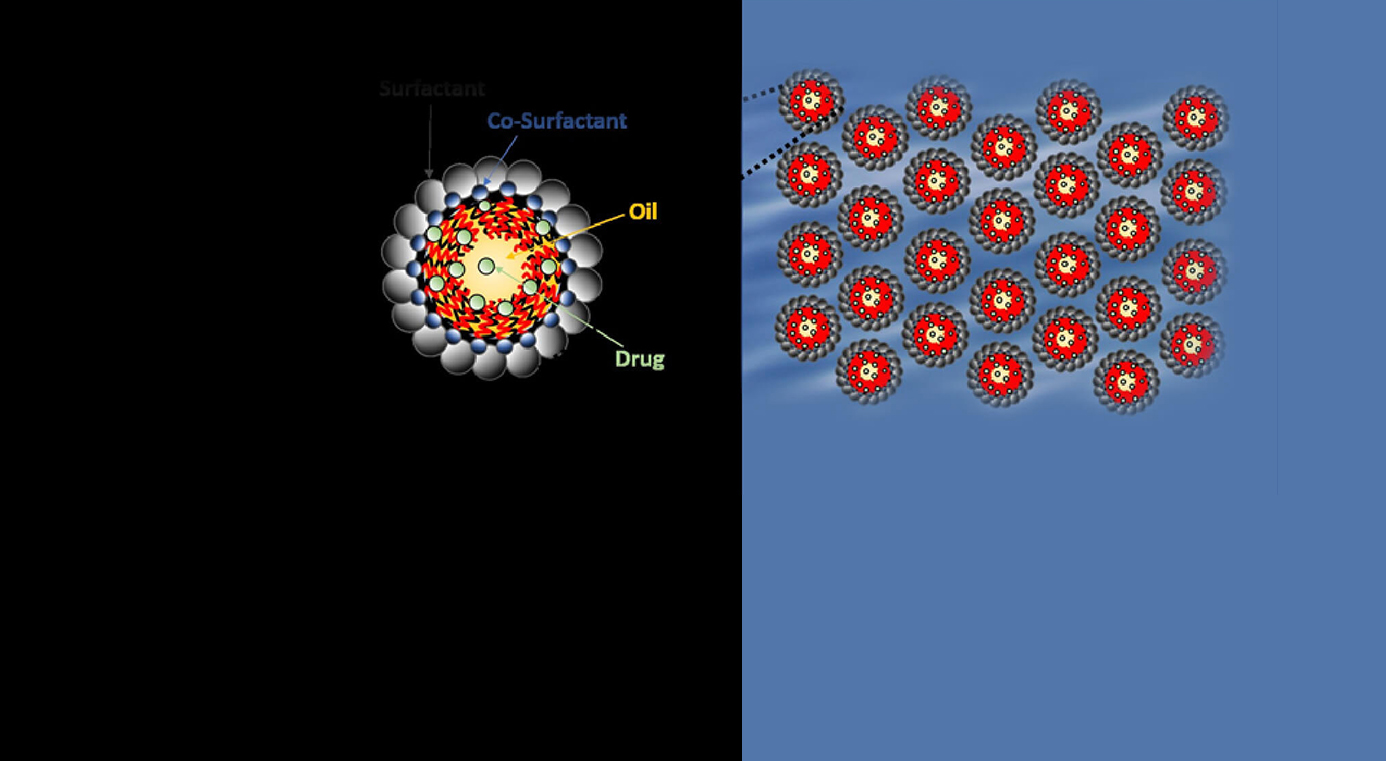 Diagram of a microemulsion droplet with oil core, surfactant and co-surfactant shell encapsulating drug, and an array of droplets