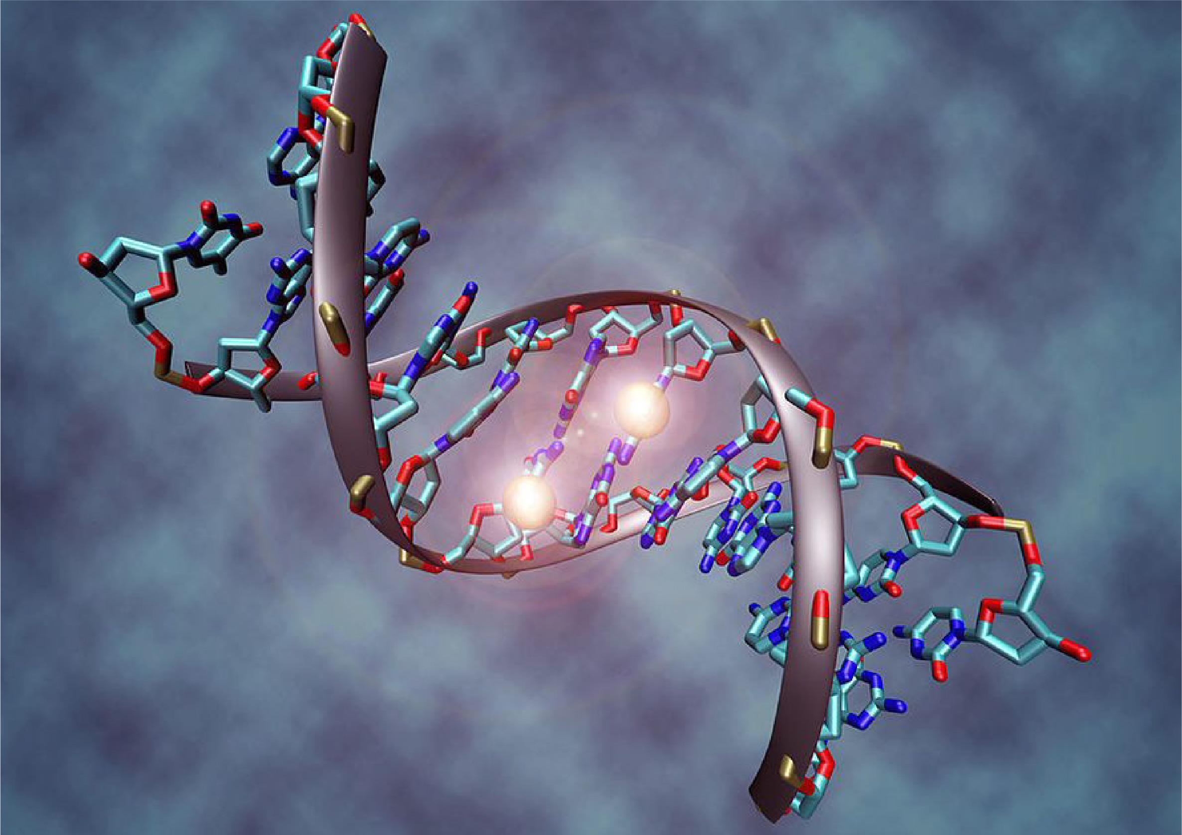 3D render of an oligonucleotide double helix with glowing bases on a grey background