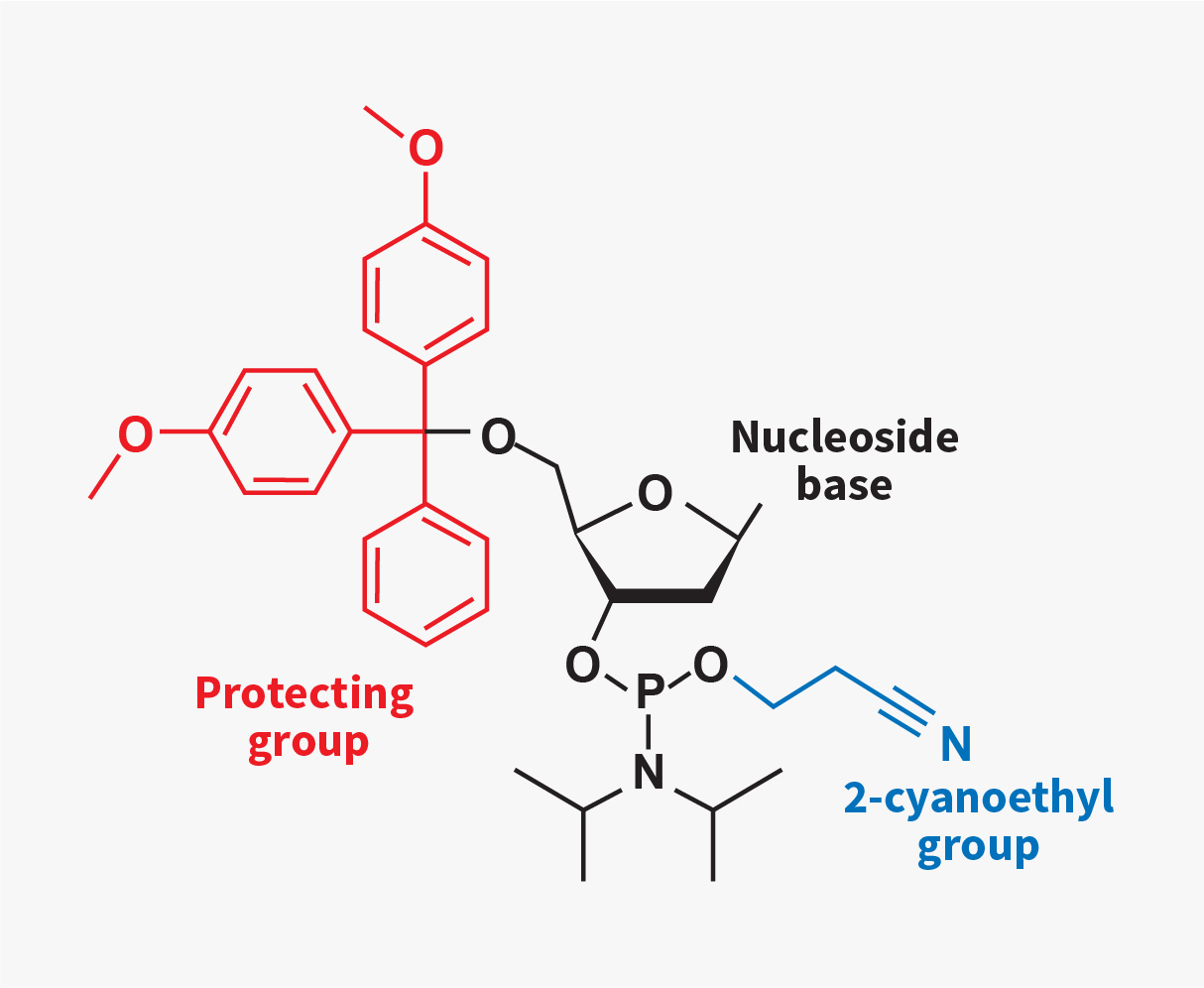 Chemical structure of a nucleoside phosphoramidite showing the DMT protecting group, nucleoside base and 2-cyanoethyl group