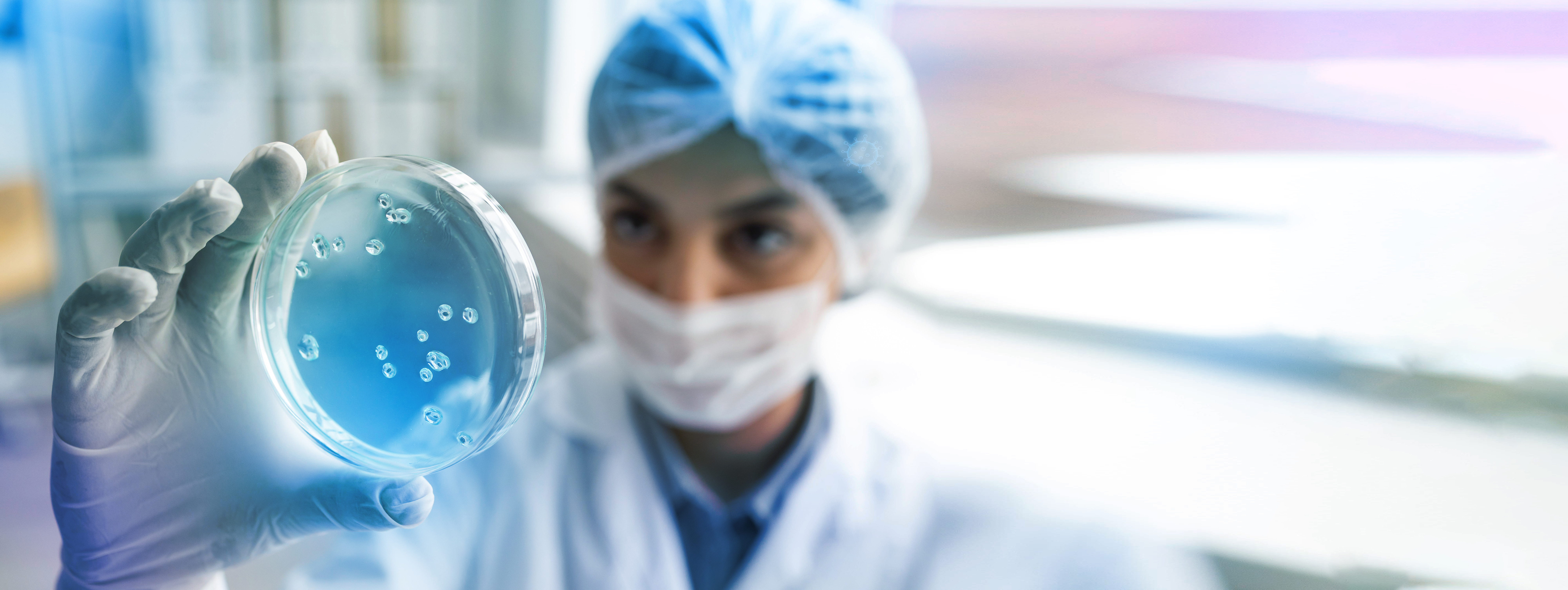 Scientist in cap and mask holding a petri dish up to the light, representing in vivo animal models