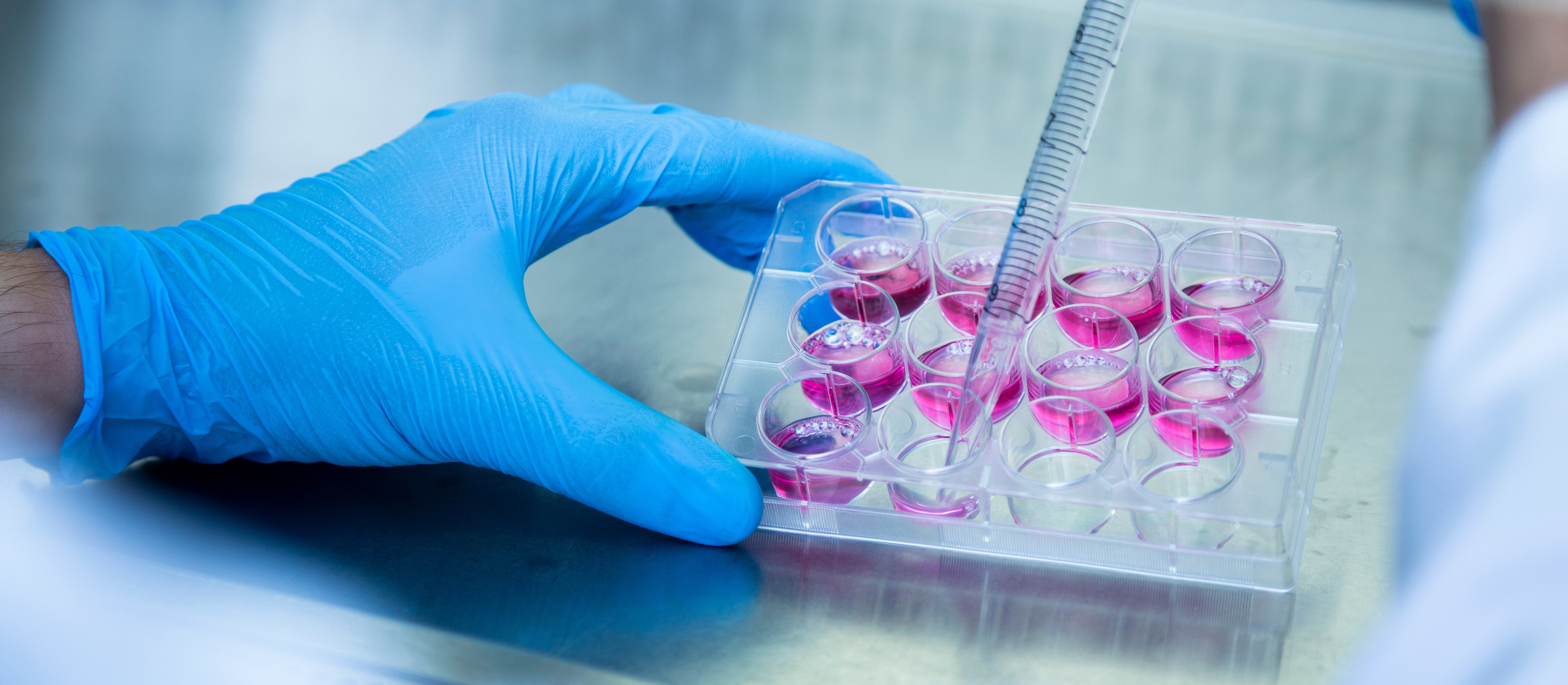 Gloved hand pipetting pink liquid into a multi-well plate, representing resin recycling studies