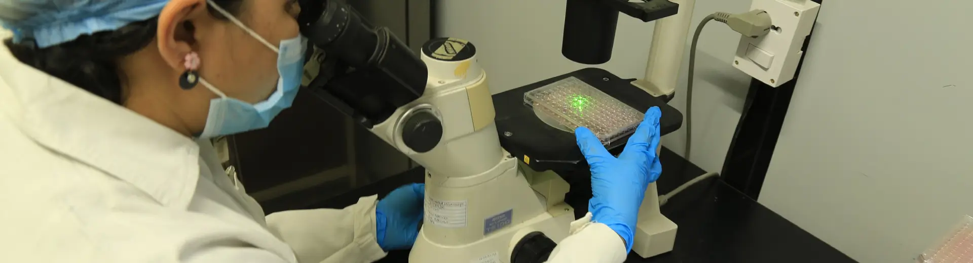 Aragen scientist in cap and mask examining a sample under a microscope for developmental and reproductive toxicology