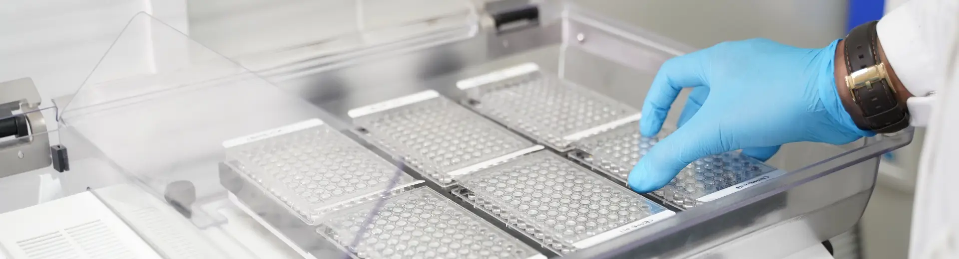 Gloved hand placing a multi-well plate into an automated instrument for endocrine disruptor assays