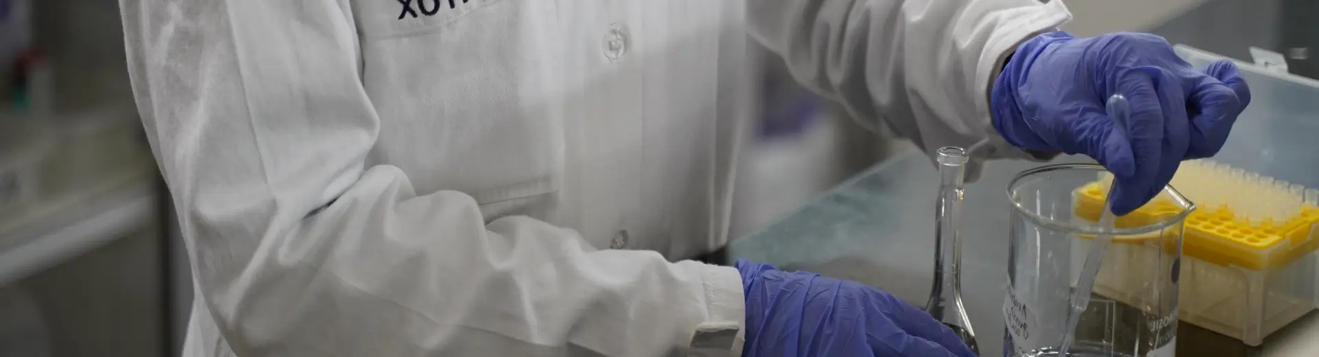 Gloved scientist in lab coat handling a beaker at a bench during a general toxicology study