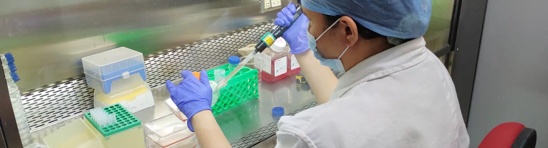 Aragen scientist in cap and mask pipetting samples in a biosafety cabinet during IND-enabling studies