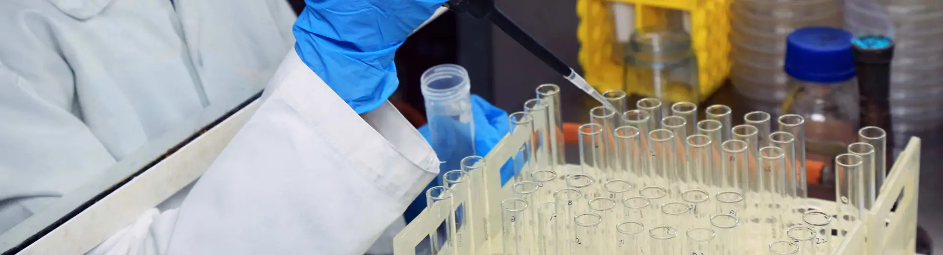 Gloved scientist pipetting into a rack of sample tubes for toxicokinetic analysis